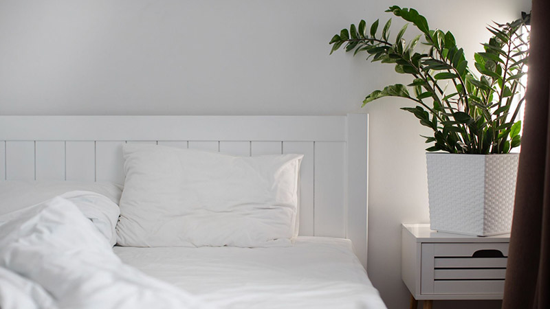 Kamar Estetik Tanaman Hias