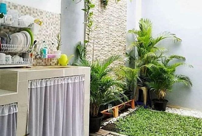 Foto dan Inspirasi Dapur Minimalis Dengan Tanaman