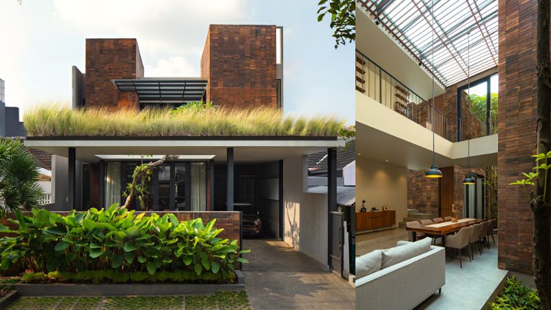 Rumah Minimalis Mewah yang Kecil dengan Kanopi Tumbuhan