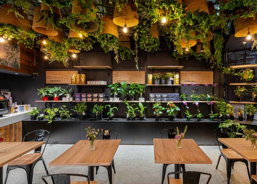 Desain Interior Cafe dengan Menggunakan Tanaman sebagai Pembatas
