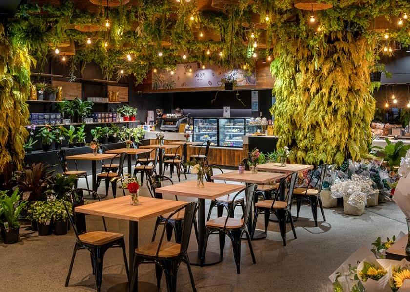 Desain Interior Cafe dengan memilih Tanaman yang Cocok
