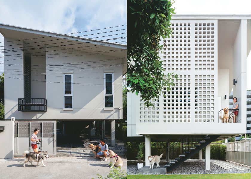 Rumah Panggung Modern Tropis