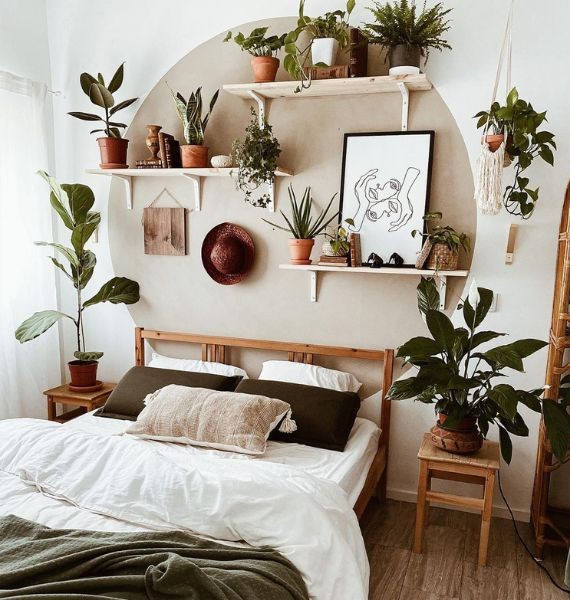 Hiasan Kamar Estetik dengan Tanaman Indoor