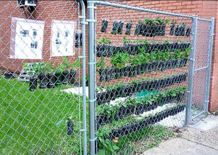 Pagar Rumah Minimalis Chain-Link