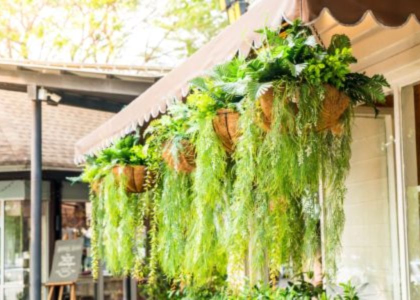 Taman Depan Rumah Minimalis Sempit Pot Gantung